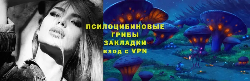 как найти закладки  Балашов  Галлюциногенные грибы Psilocybine cubensis 